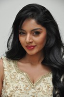 Sanam Shetty Photos at Srimanthudu Audio Release